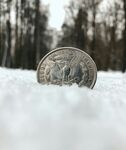 雪地中的硬币