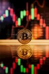 金币与股市背景下的对比