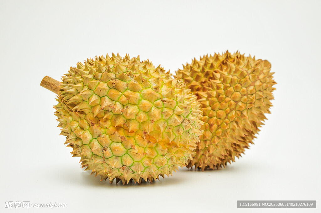两个新鲜榴莲果实