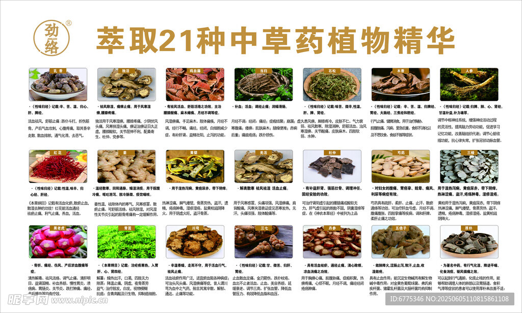 劲络