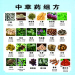 常见中草药组方展示