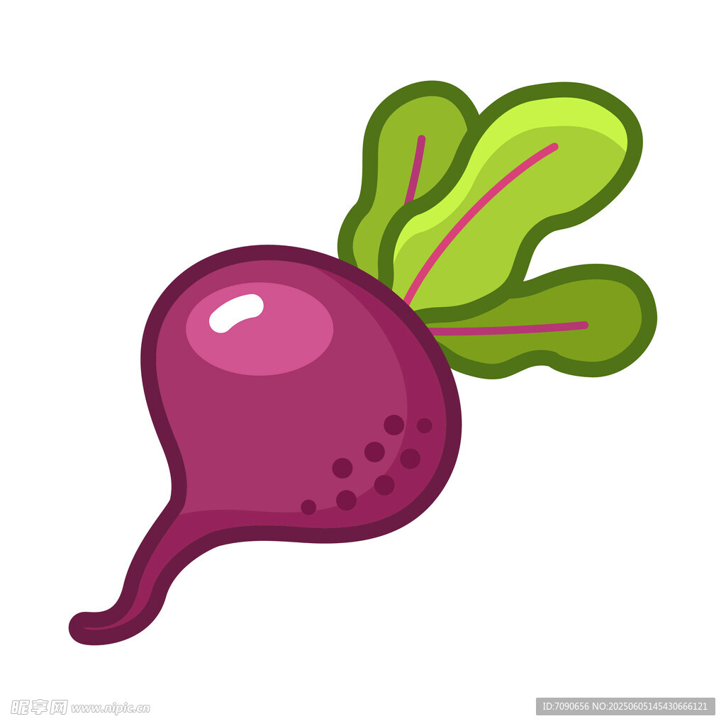 紫色甜菜插画
