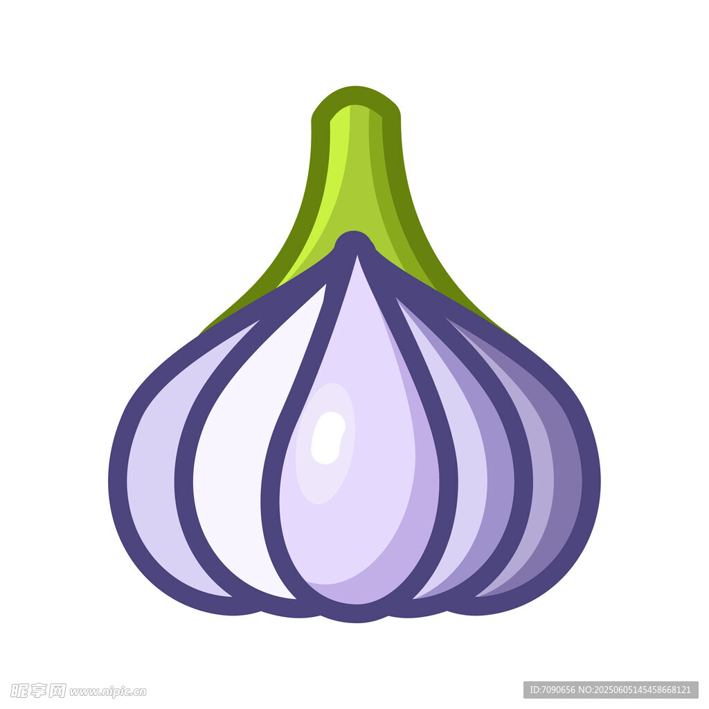 紫色大蒜插画