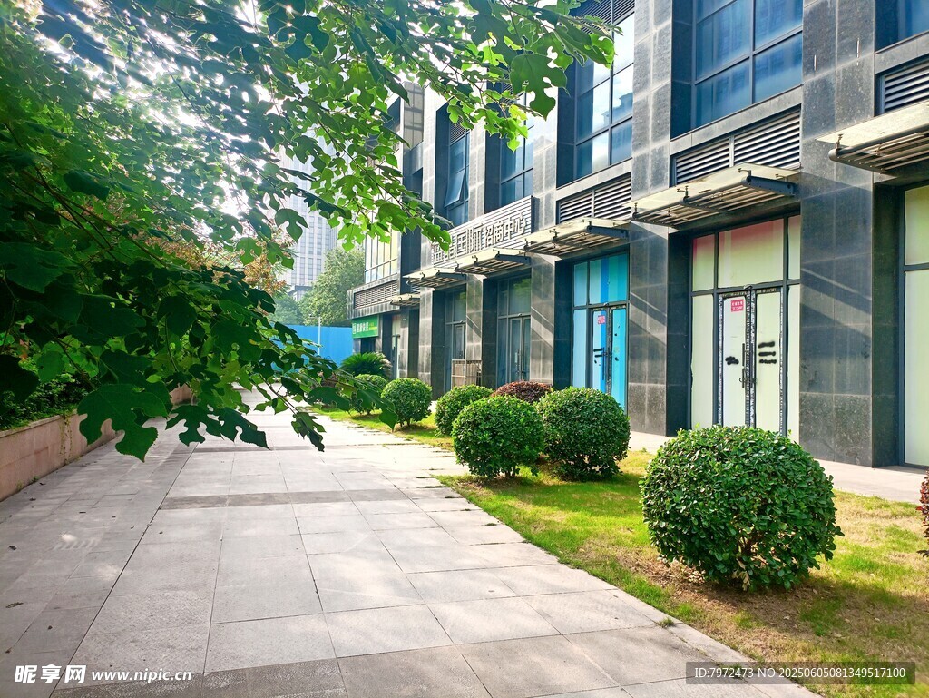 现代建筑旁的绿植小径