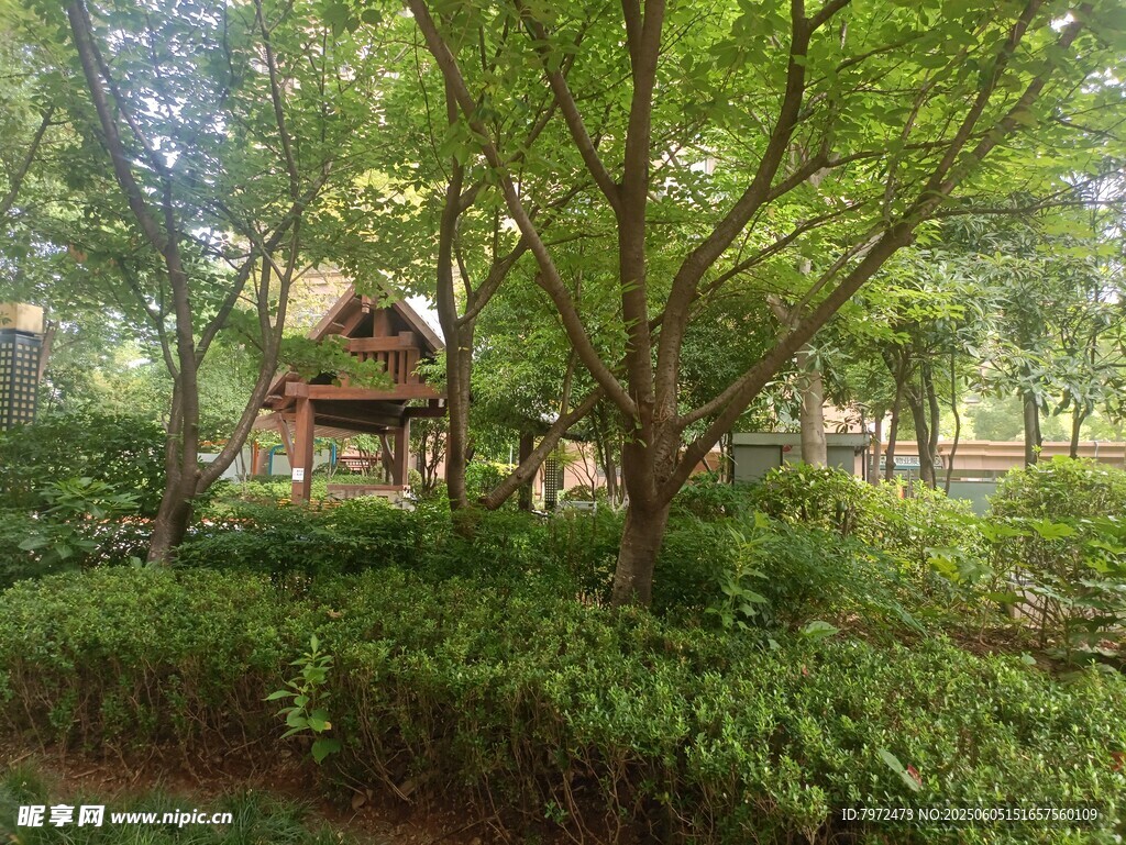 绿荫环绕的林间小屋