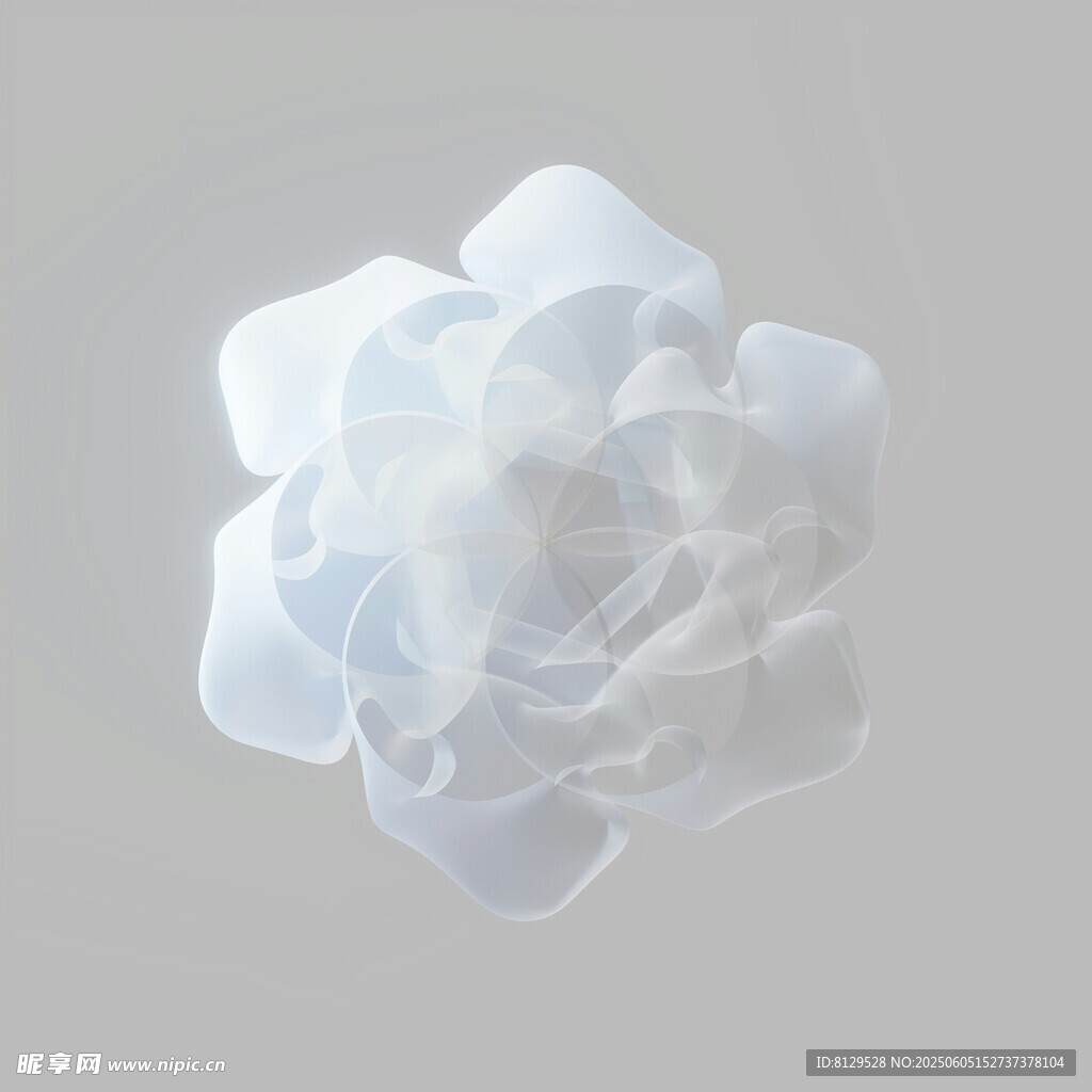 白色花朵装饰