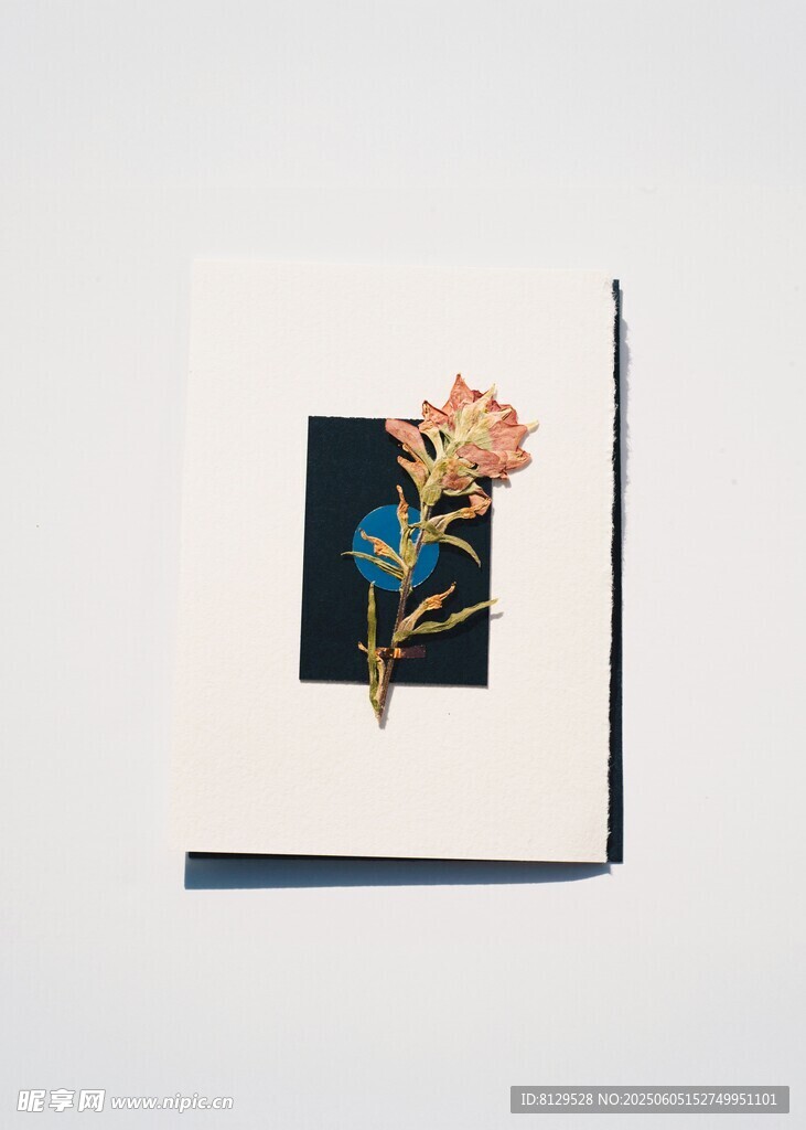 干花装饰画