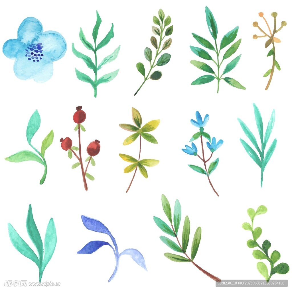 清新手绘植物花卉元素集