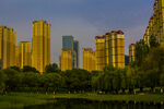 湖畔金色高楼城市美景