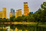 城市湖畔高楼美景