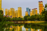 湖畔高楼林立的城市美景