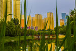 城市湖畔高楼与绿植美景