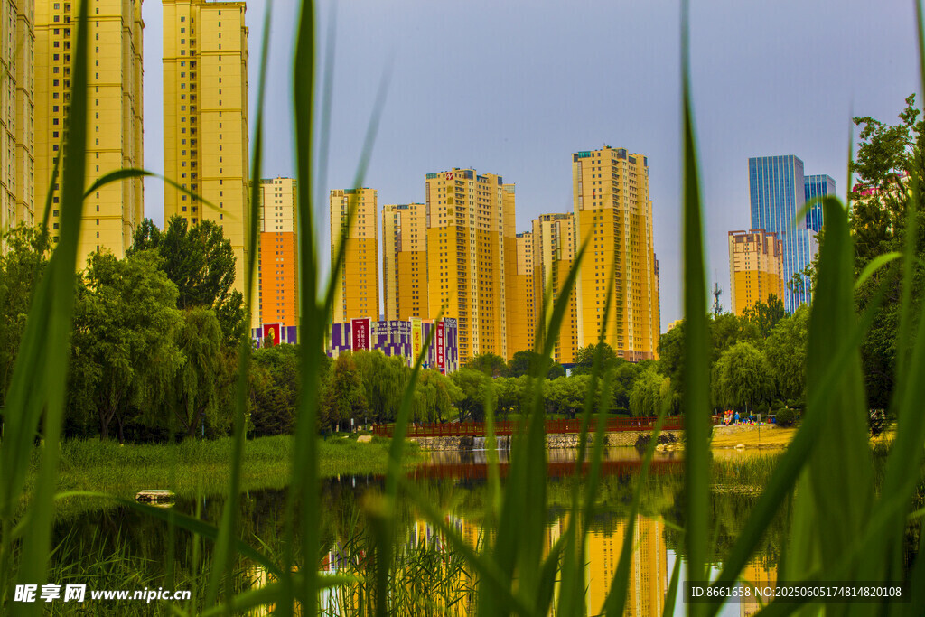 城市湖畔高楼与绿植美景