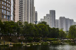 城市河畔高楼绿树景观
