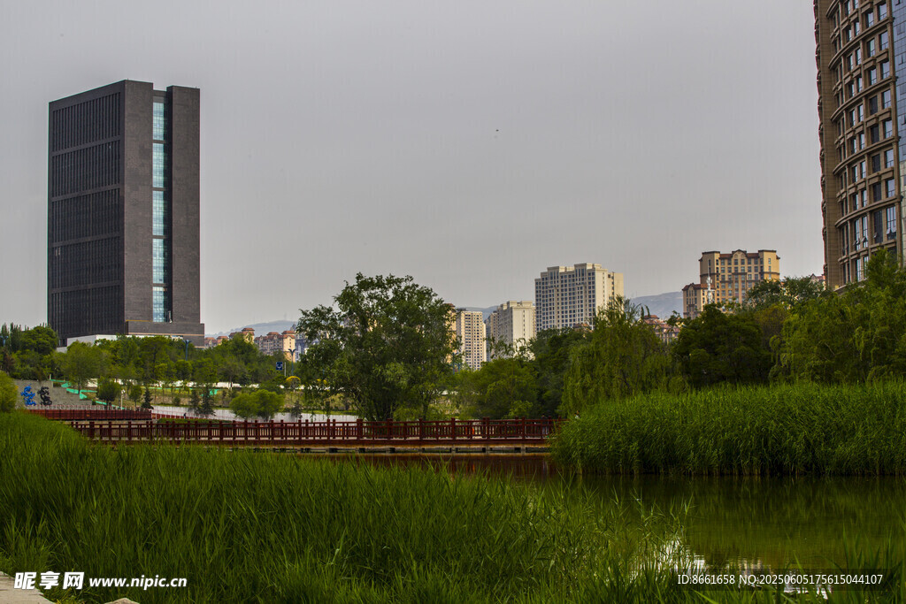 城市中的绿地与高楼景观