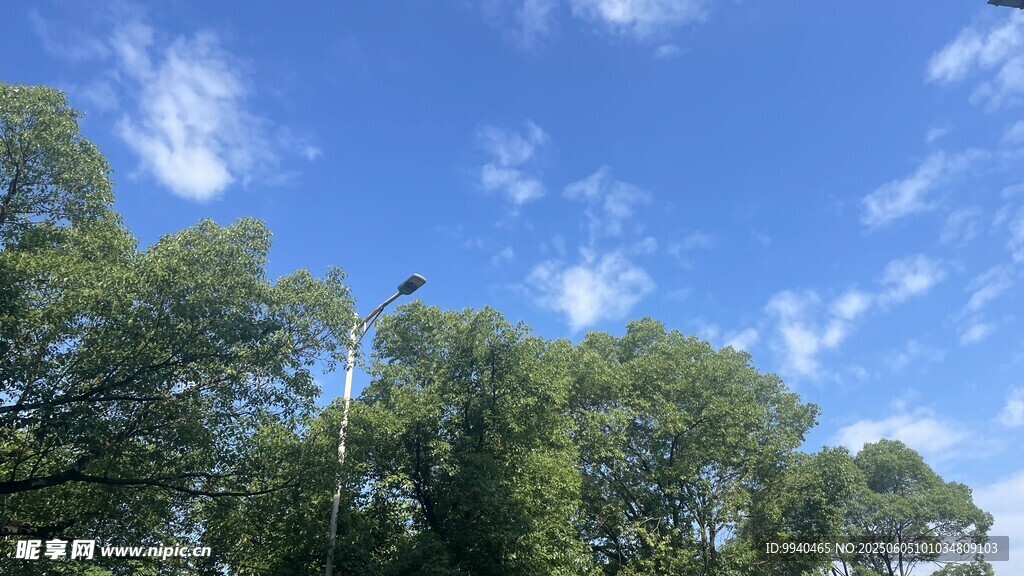 蓝天绿树风景图