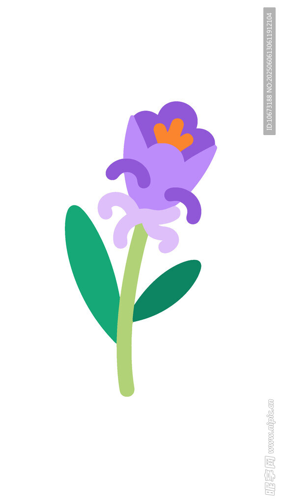 紫色小花插画
