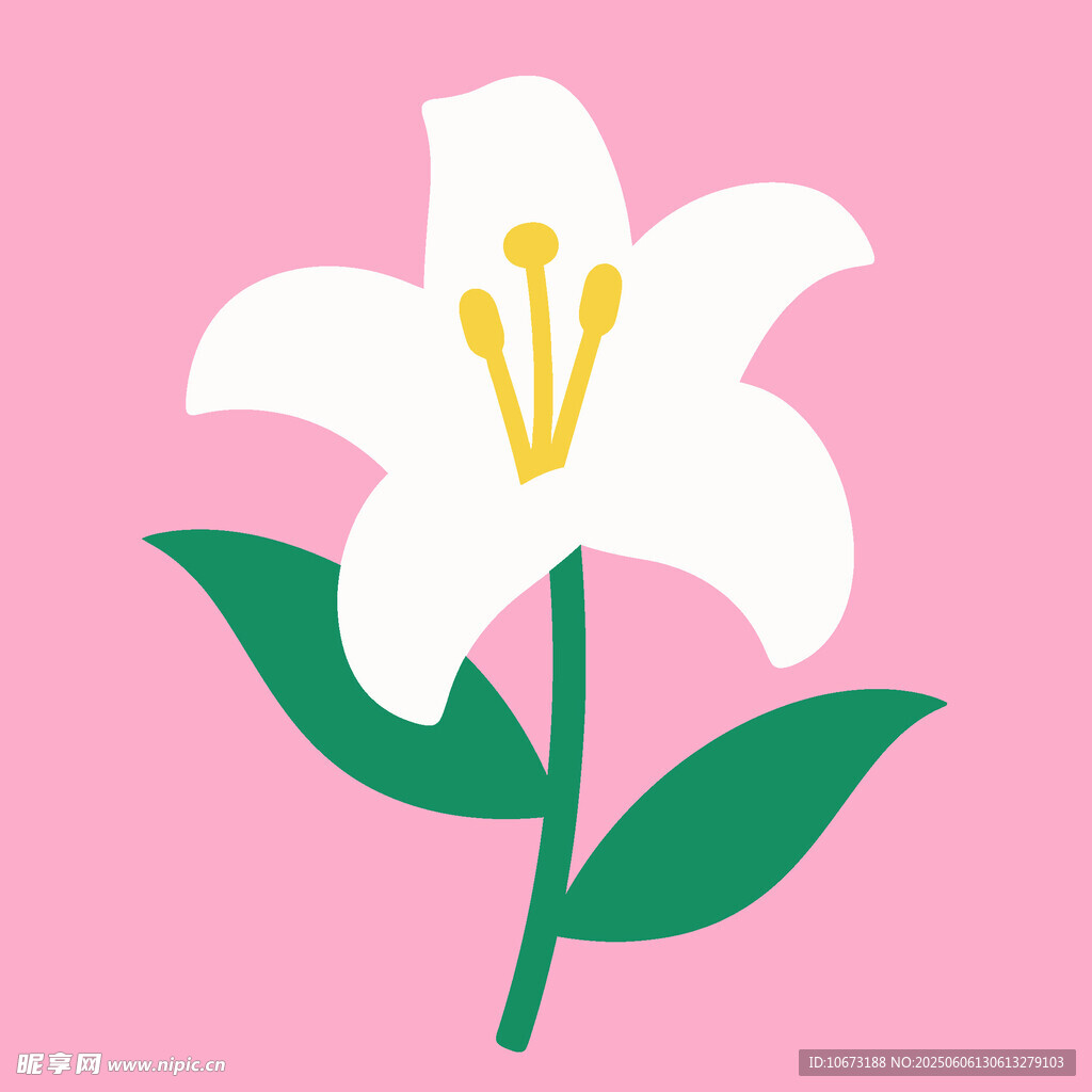 粉色背景上的简约百合花
