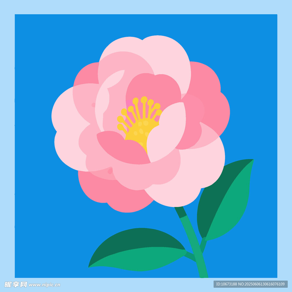 粉色山茶花插画