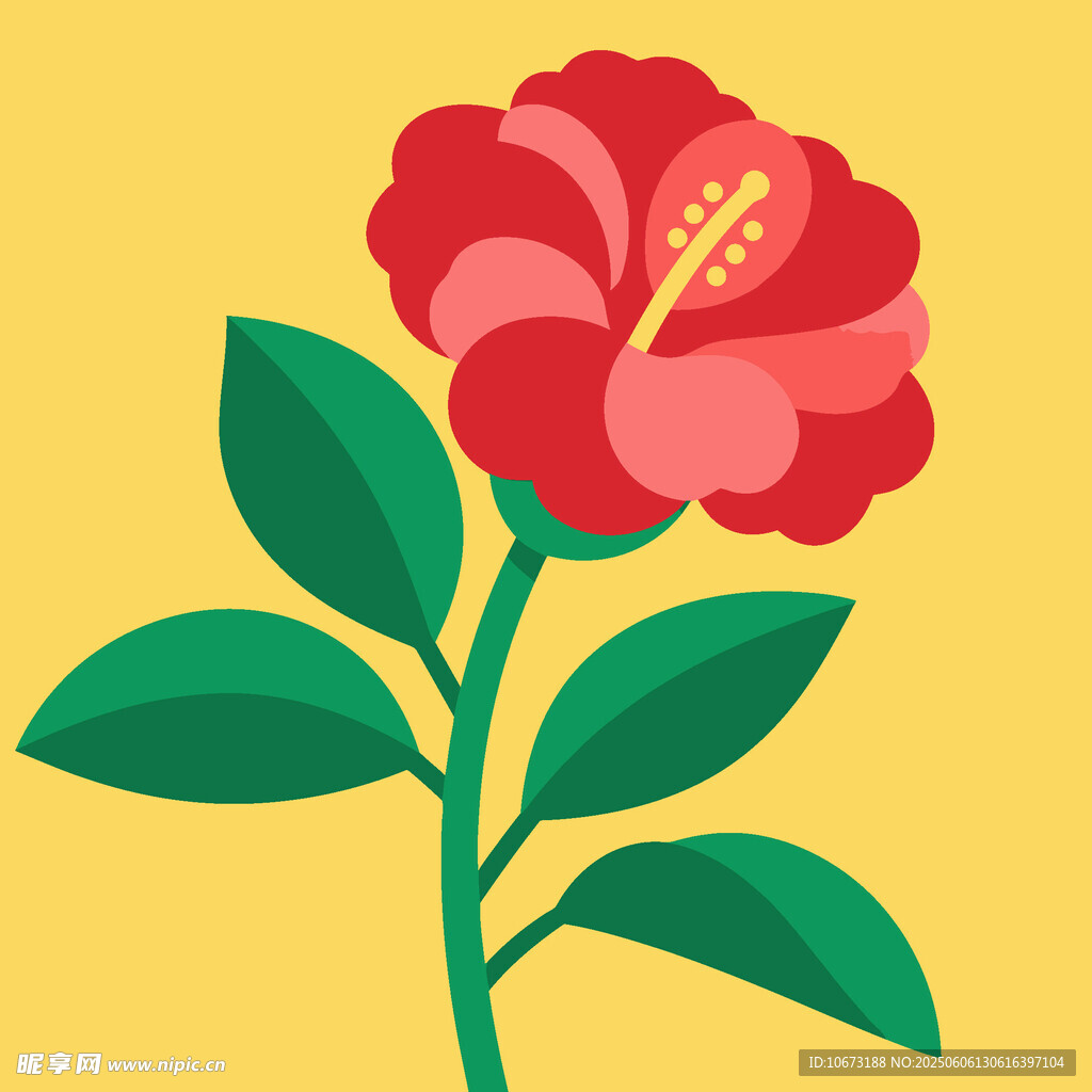 红色扶桑花插画