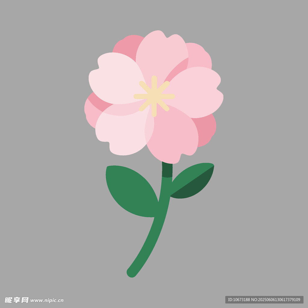 粉色花朵插画