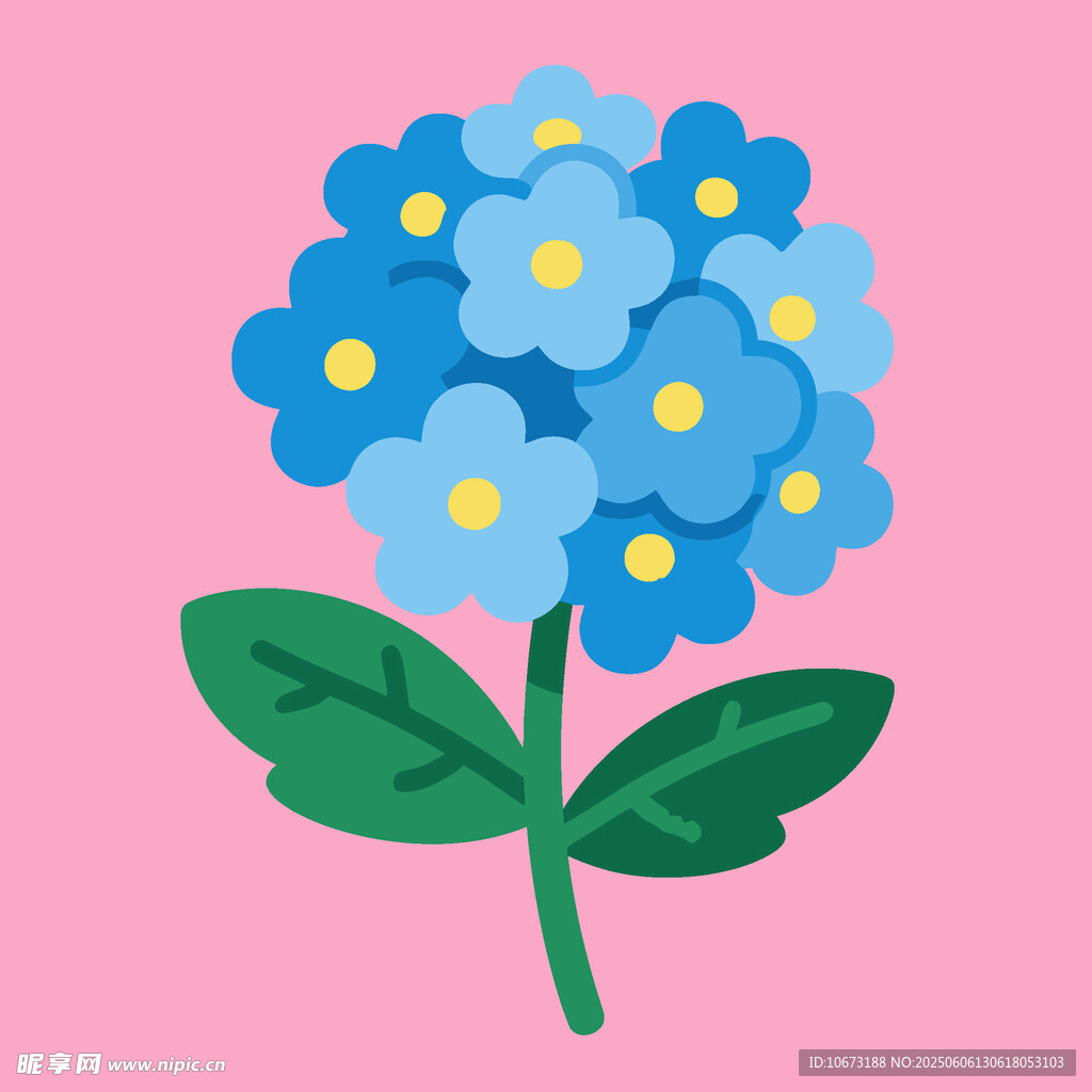 蓝色绣球花插画