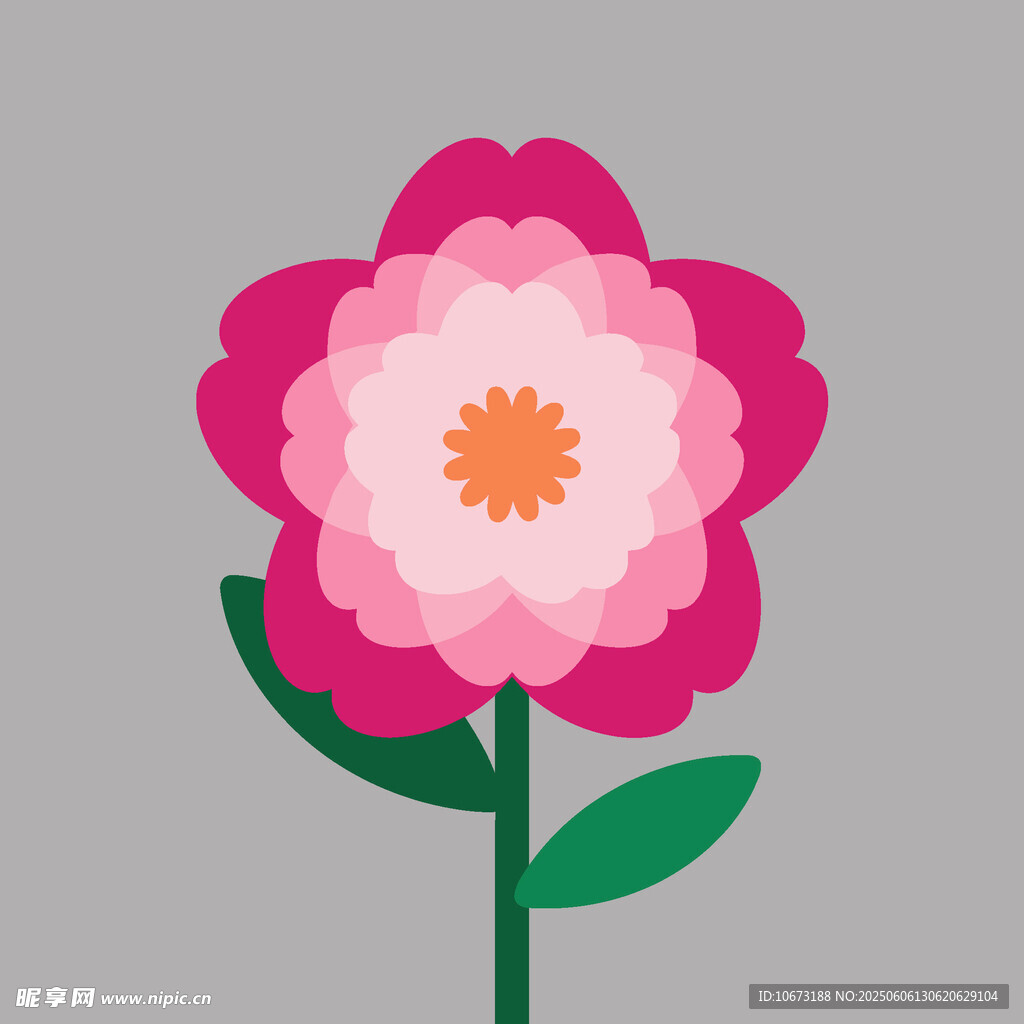 粉色花朵插画