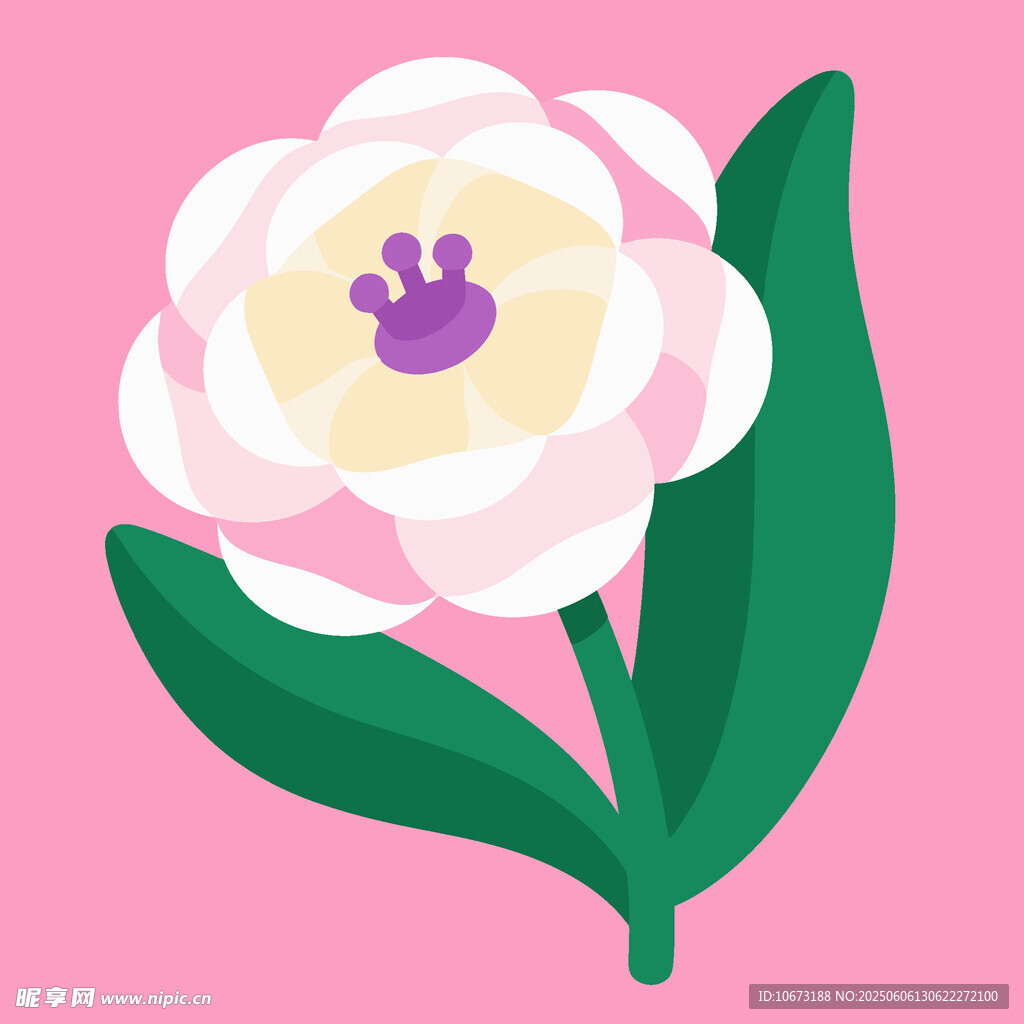 粉色背景花朵插画