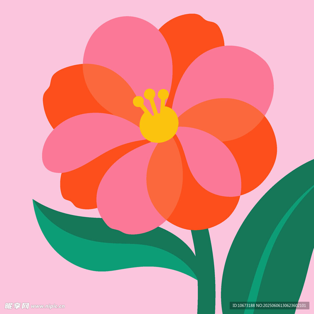 粉色花朵插画