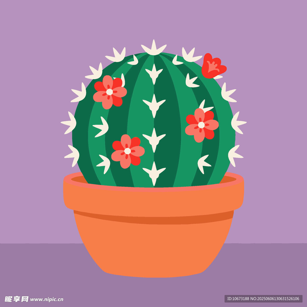 花盆中的带花仙人掌