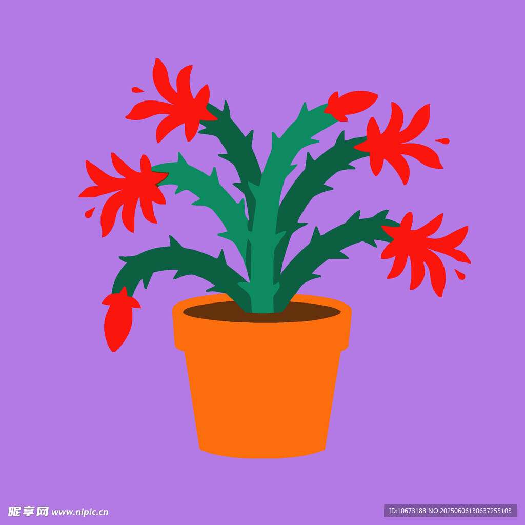 橙色花盆中的红色仙人掌花