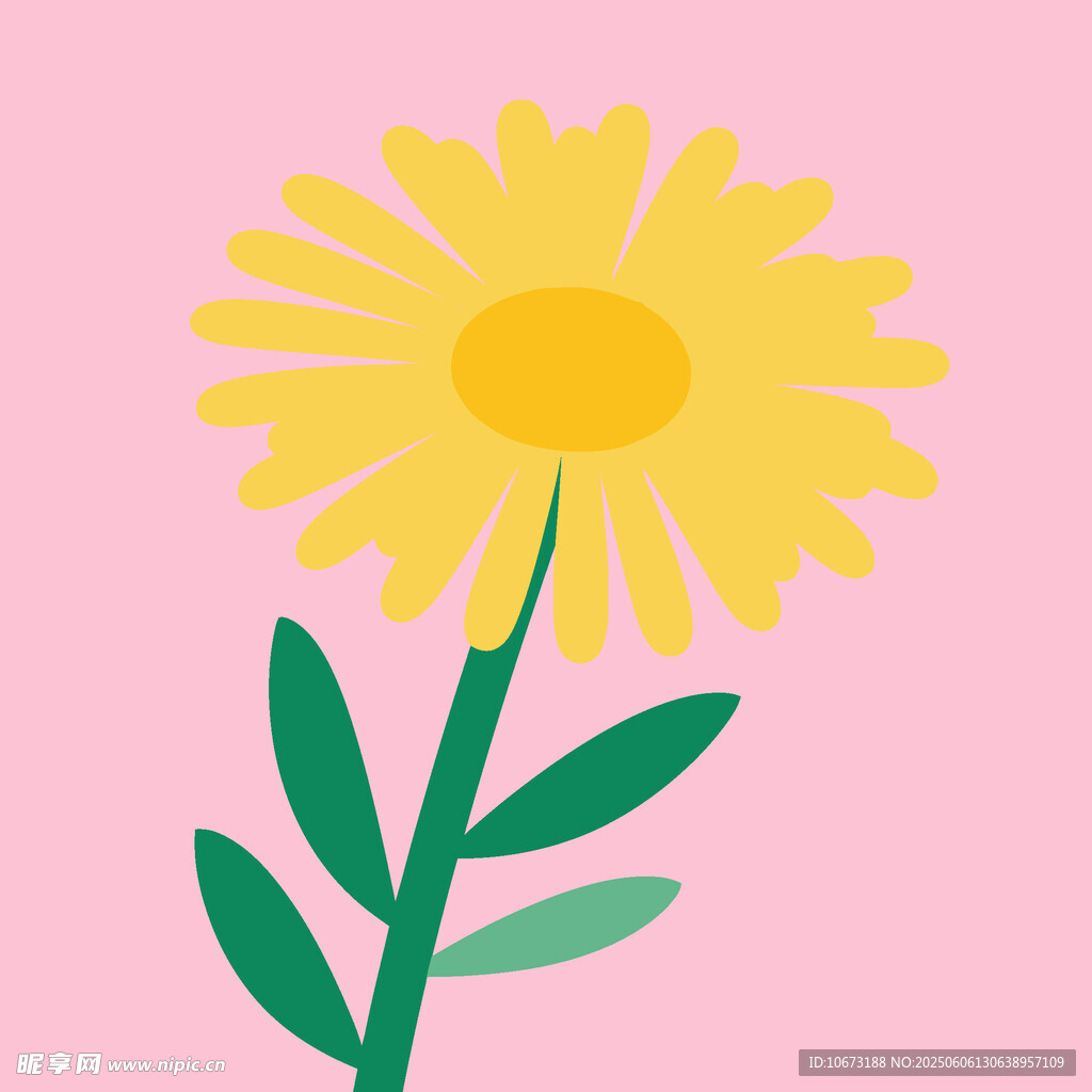 黄色雏菊插画