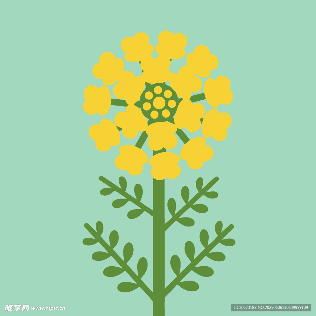 黄色花卉植物插画