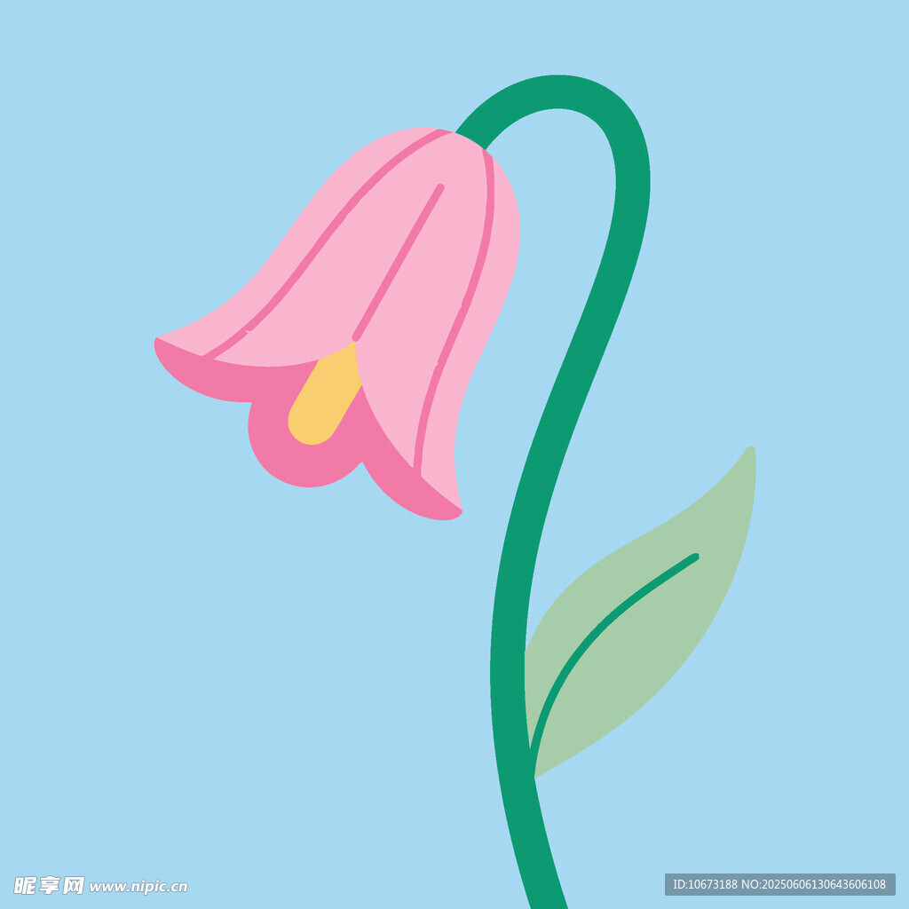粉色铃兰花插画