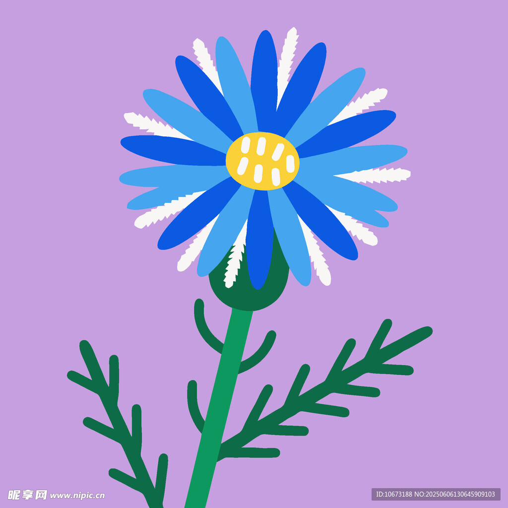 蓝色雏菊插画