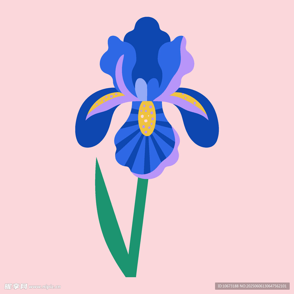 蓝色鸢尾花插画
