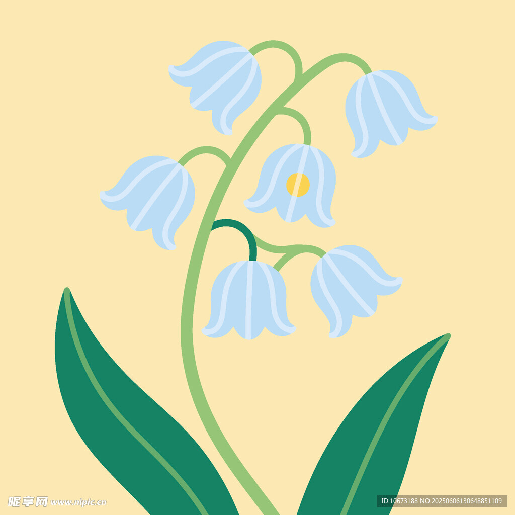 铃兰花插画