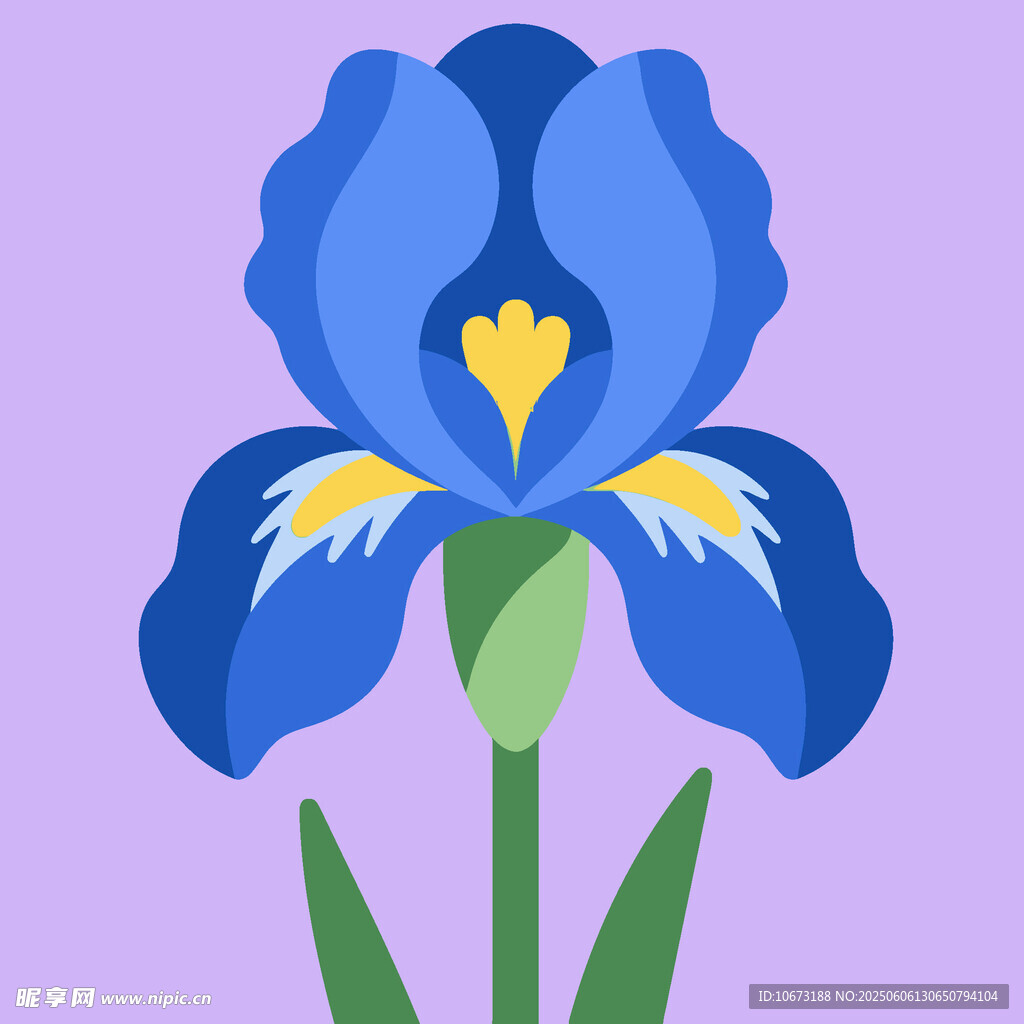蓝色鸢尾花插画