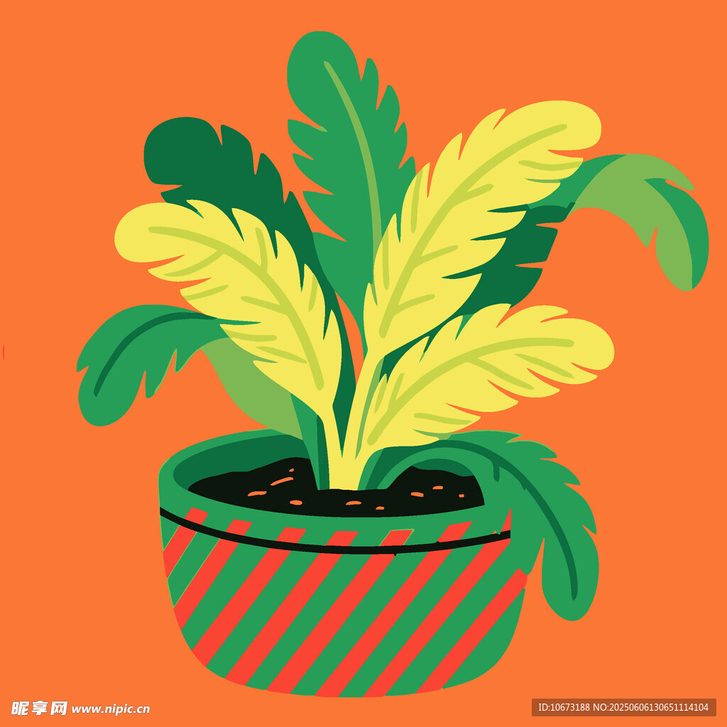 条纹花盆中的绿植