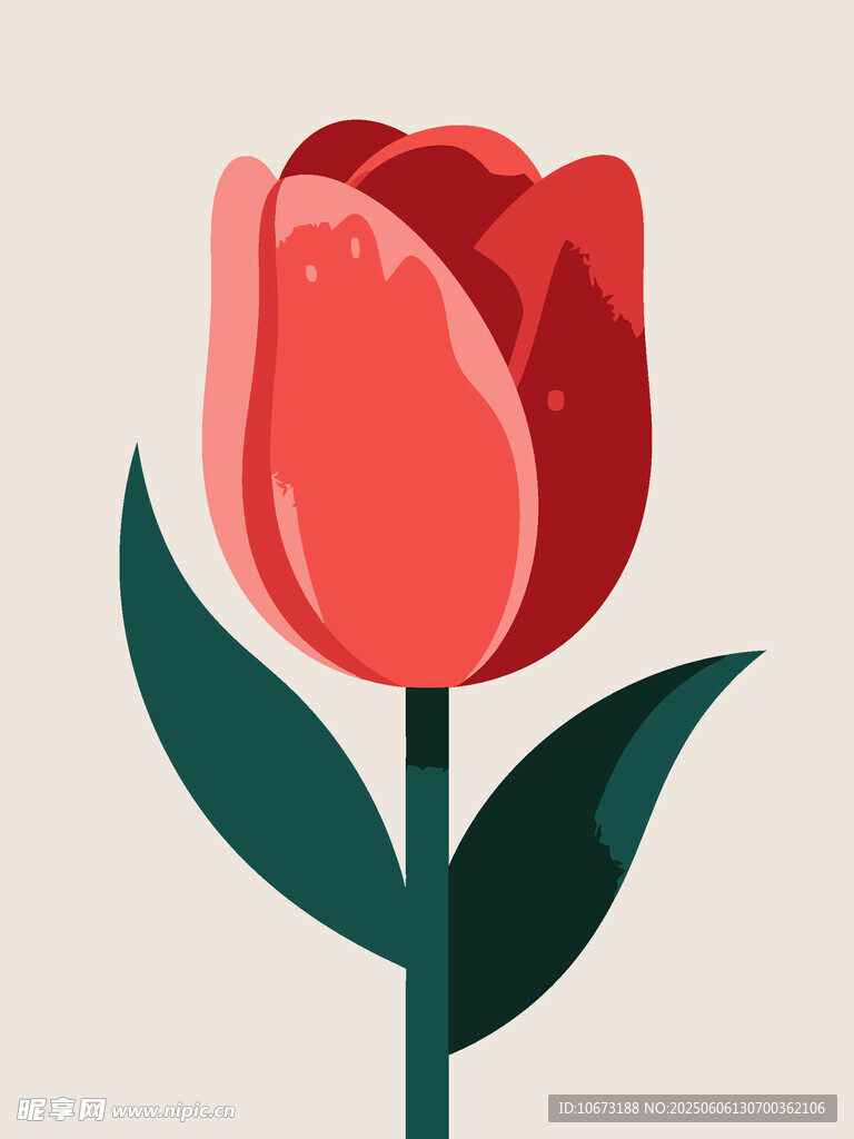 红色郁金香插画