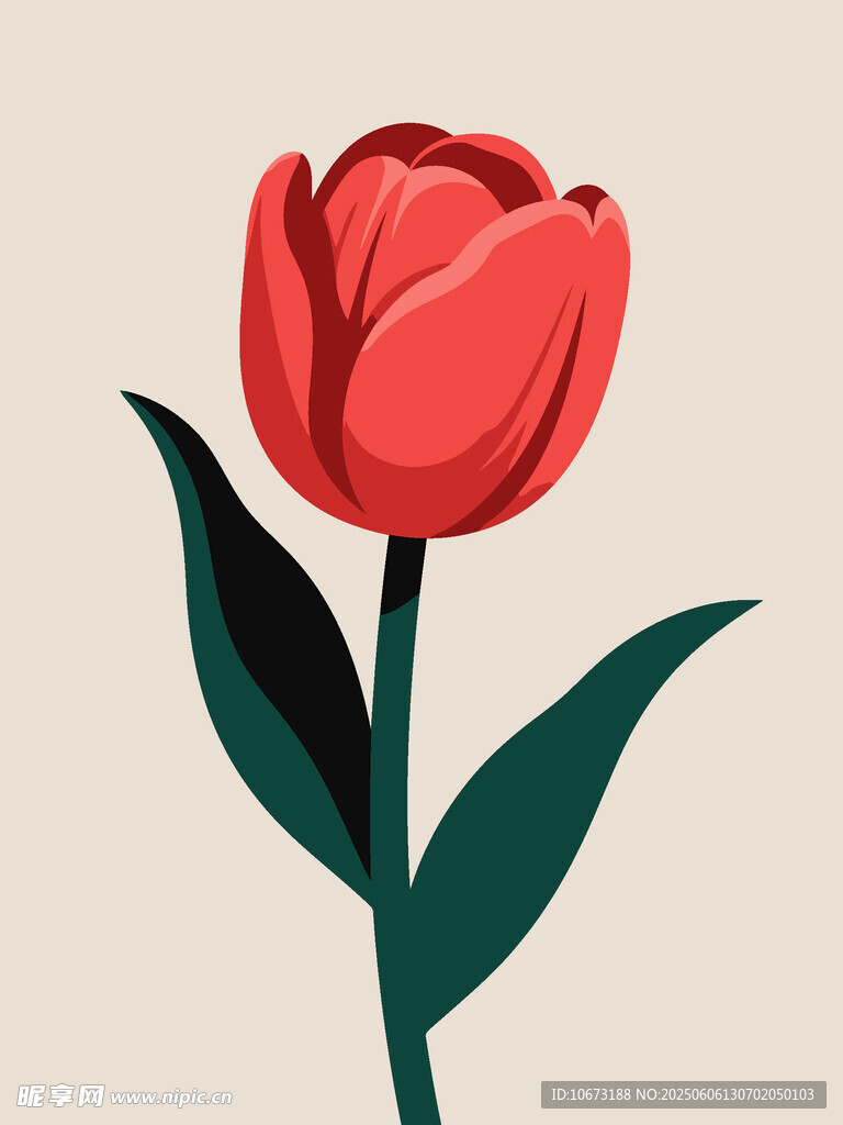 红色郁金香插画