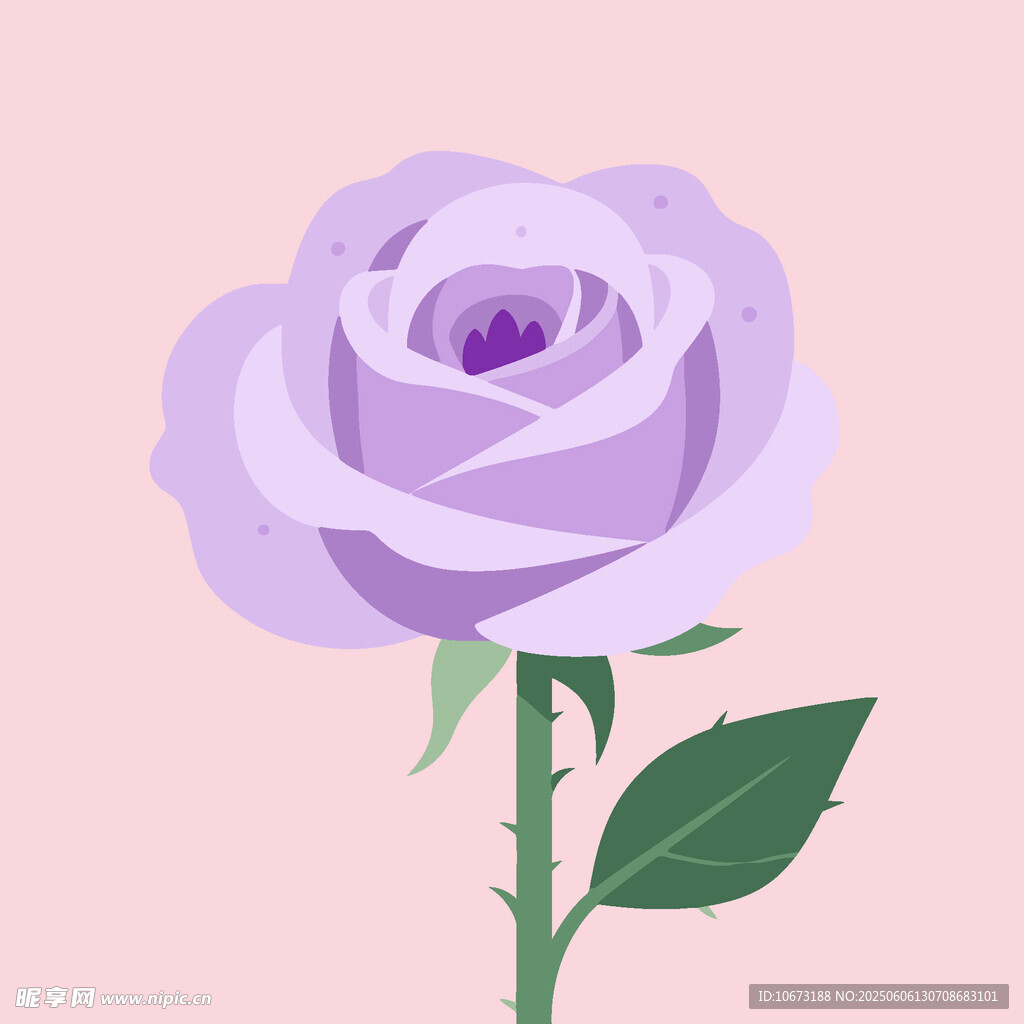 淡紫色玫瑰花插画