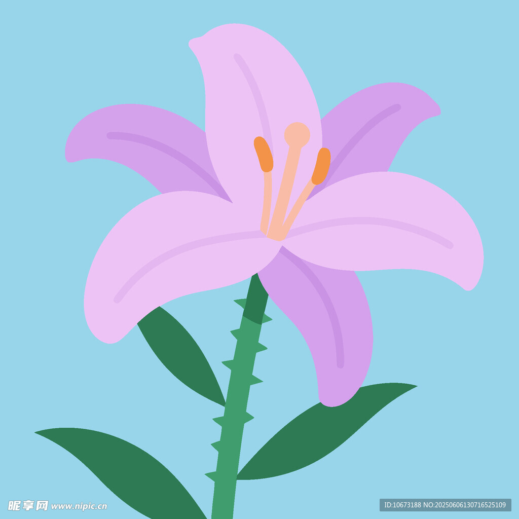 粉色百合花插画