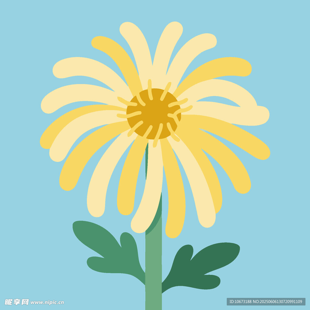 黄色雏菊插画
