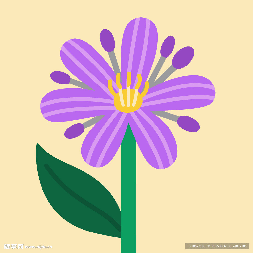 紫色花朵插画