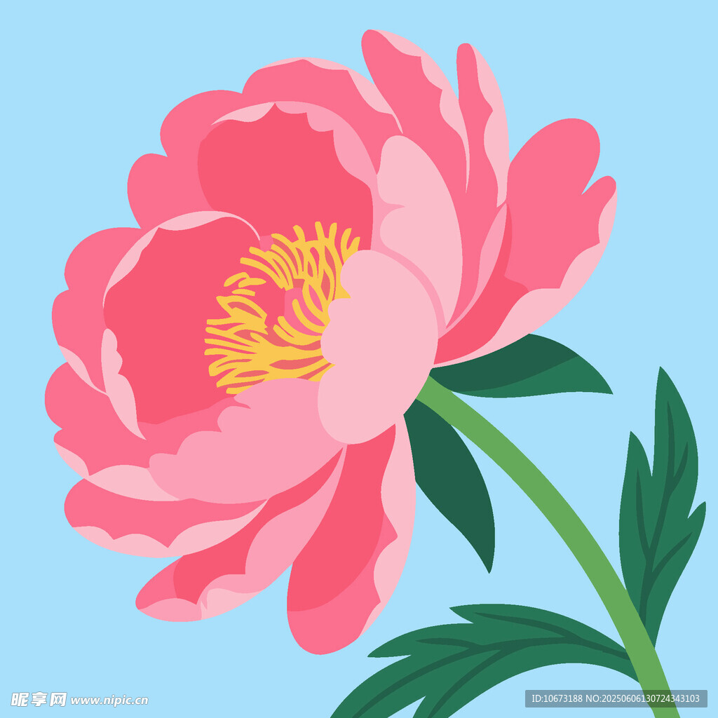 粉色盛开牡丹花插画