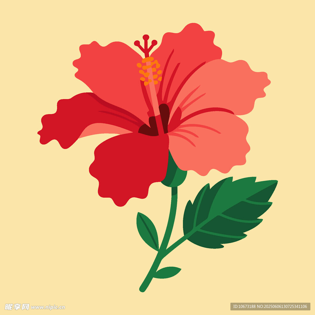 红色扶桑花插画