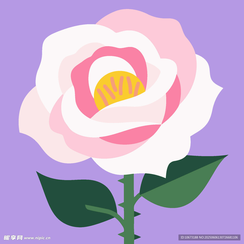 粉色玫瑰插画