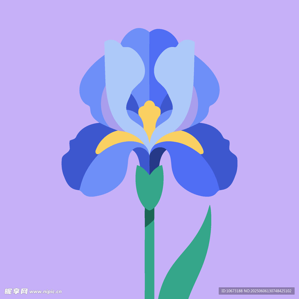 蓝色鸢尾花插画