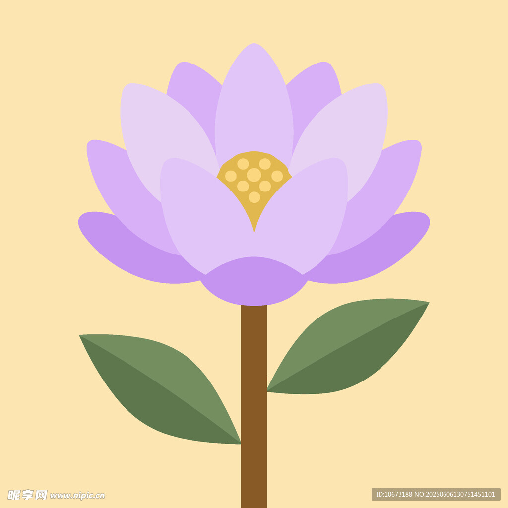 紫色莲花插画